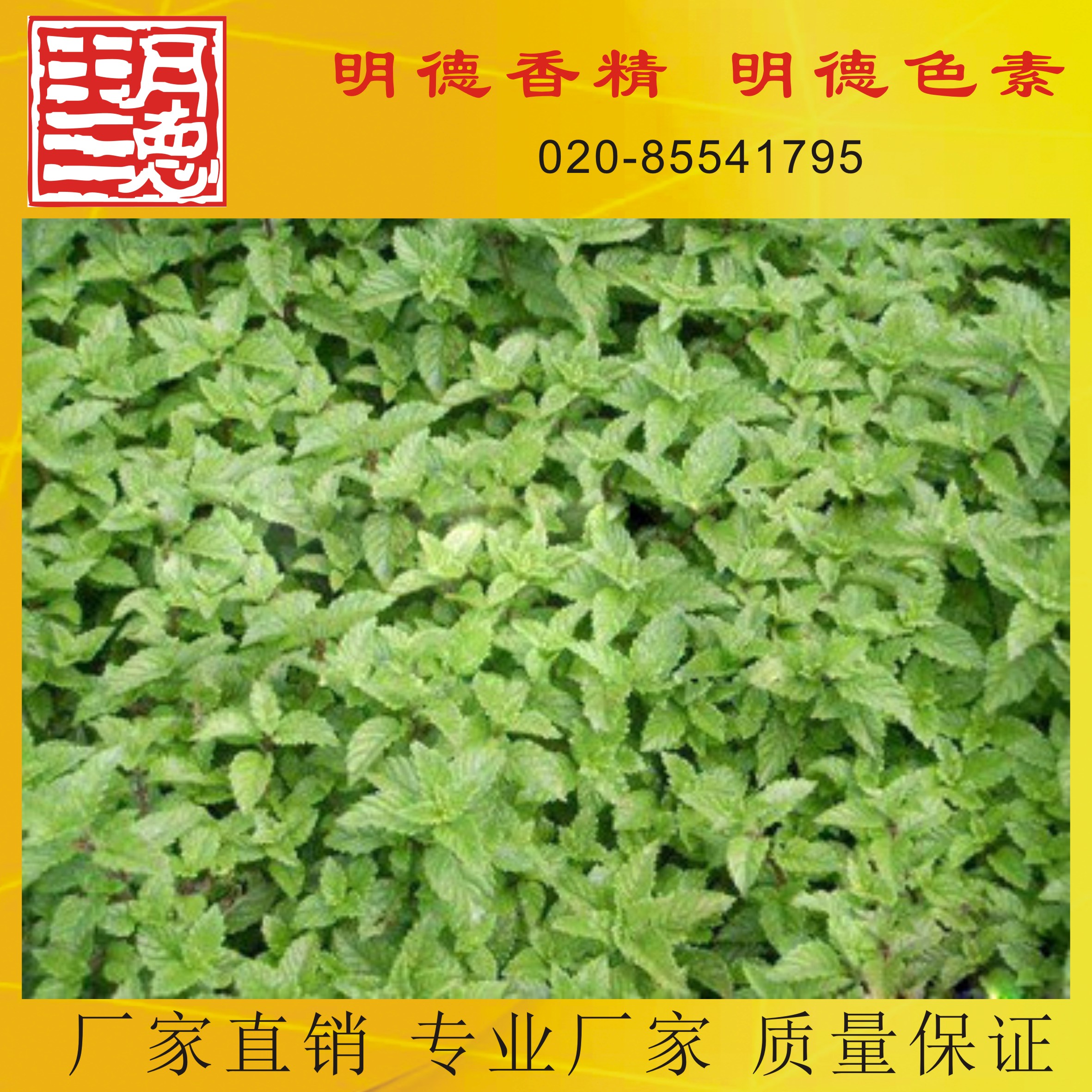 �c���鿴Ԕ��(x��)